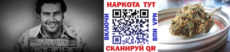 Виды наркоты Николаевск-на-Амуре Гашиш  Бошки Шишки  АМФЕТАМИН  Меф  КЕТАМИН  Cocaine 