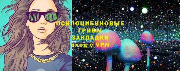 прущая мука Алзамай