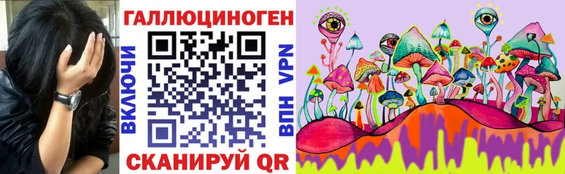 Галлюциногенные грибы Psilocybine cubensis Николаевск-на-Амуре