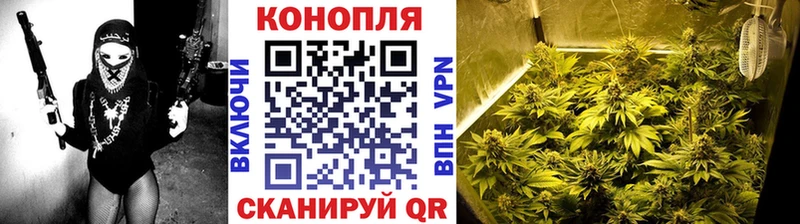 закладки Николаевск-на-Амуре Каннабис ГИДРОПОН